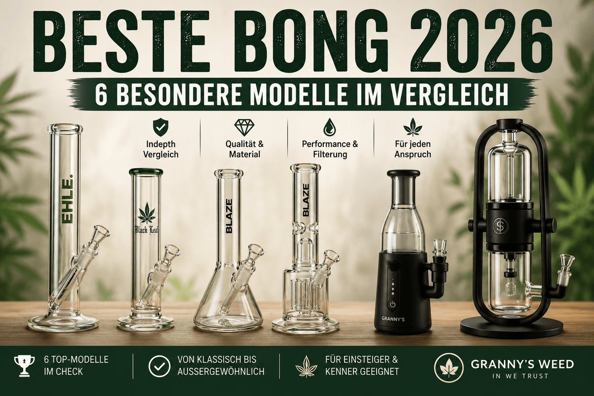 Beste Bong 2026: 6 besondere Bongs im Vergleich