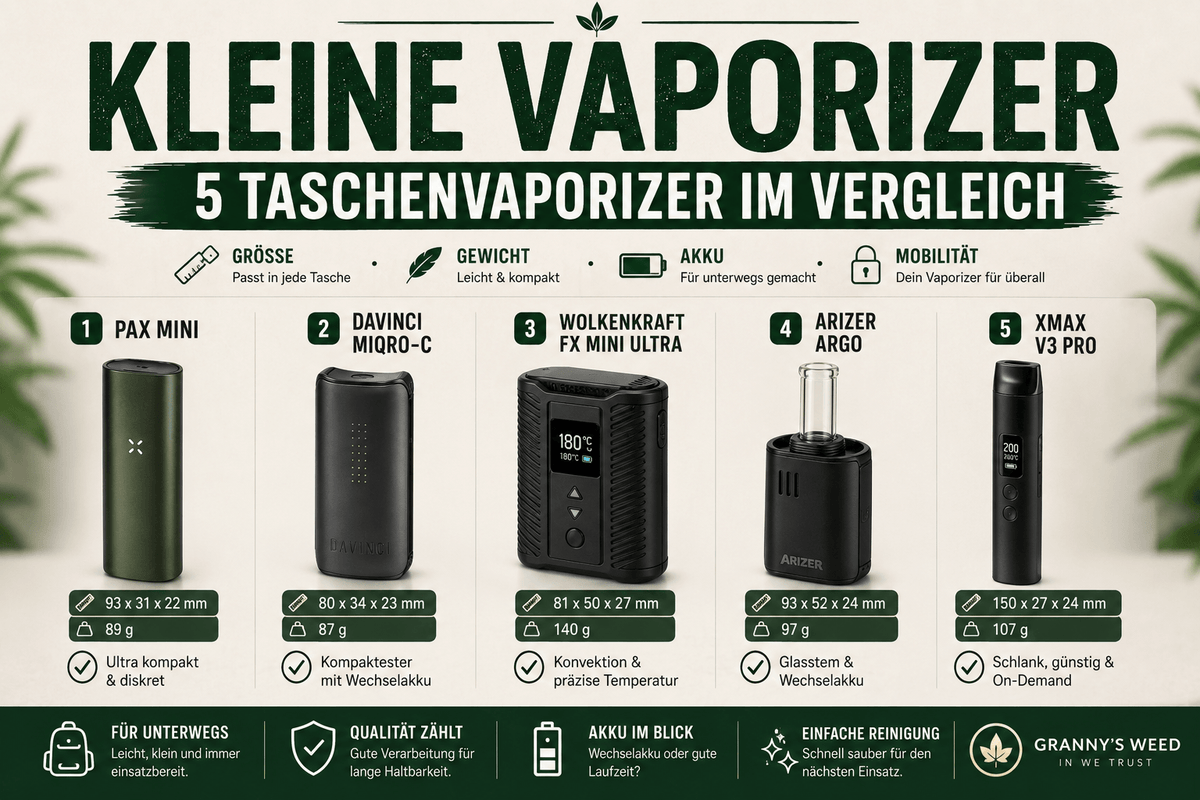 Kleine Vaporizer: 5 gute Taschenvaporizer für unterwegs